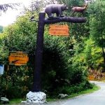 Gamgul Siyabehi Wildlife Sanctuary Travel Guide and Tourism in Chamba, Himachal Pradesh