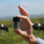 REDUCING METHANE EMISSIONS FROM COWS.