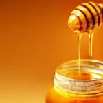 Grekisk Tallhonung – Naturlig Premiumhonung från Thasos 🌲🍯