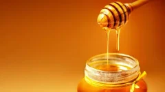 Grekisk Tallhonung – Naturlig Premiumhonung från Thasos 🌲🍯